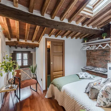 Apartment Tuscan Charm In The Heart Of Lucca *